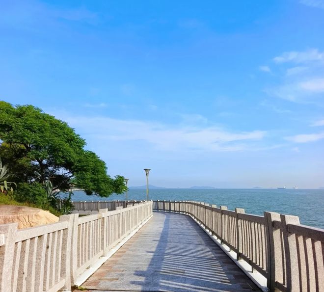 2026厦门综合实力最强旅行社TOP10｜资质+规模+服务嗨